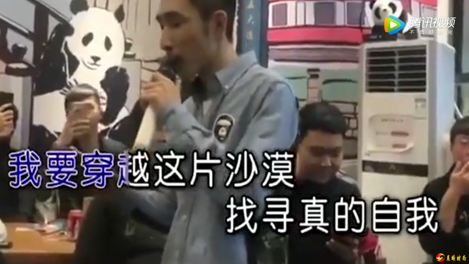 最近比较火的沙漠骆驼，莫名的感动