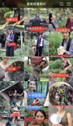 是不是大材小用呢？其实在戴伟看来