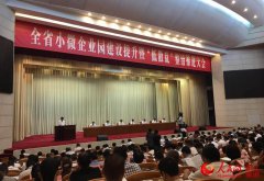 目前获得国家药监局批文允许销售的肉毒素只有美国保妥适和兰州衡力两款产品