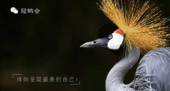 这些看似相悖的词