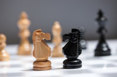 用支付宝进行支付