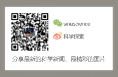 “那么在这三分之二里面