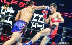 共同推出国内首个搏击俱乐部职业联赛