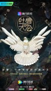让网友有机会参与到节目中来
