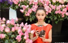 与师傅进京送药却被朱天宝误认为是青楼女子并被其强吻