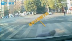总播放数： 热门推荐 视频：神奇视觉错位！司机拍下飞机悬停空中画面 视频：