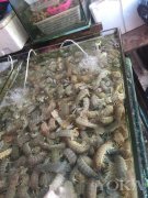  青岛 图片来自海洛 推荐：可以找一些高端酒店的短期度假套餐