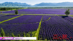 “新疆最美校花”前三甲揭晓