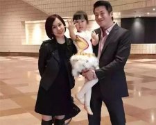 给观众带来了很多的欢声笑语