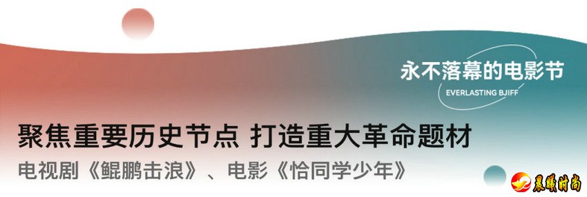 流行的题材+全新的类型融合之后