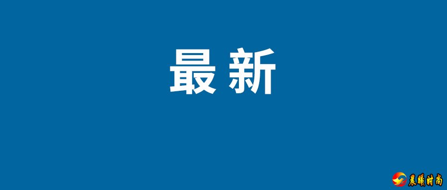 11月上映的电影有哪些   2022年11月电影档期最新片单