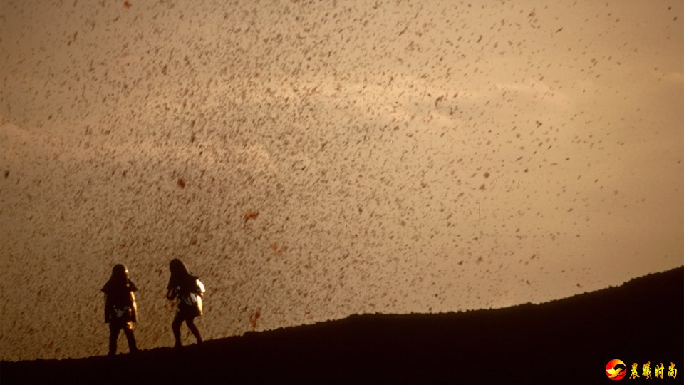 爱在火山熔岩下：纪录片《火山挚恋》里的命运