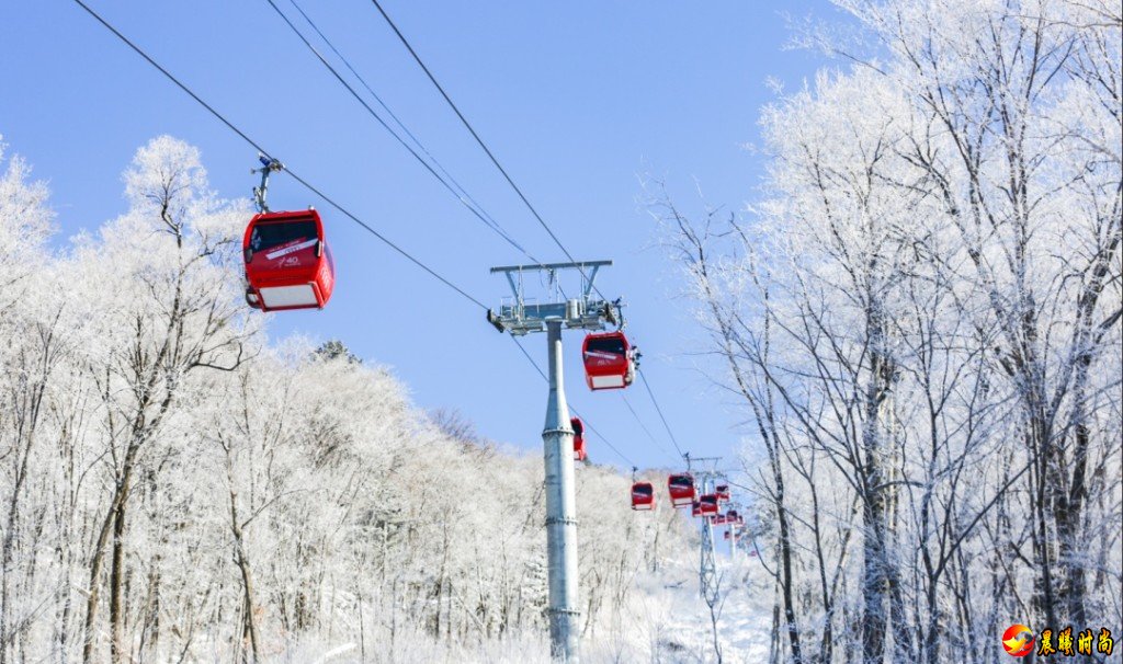 总数全国第一！吉林省4家滑雪旅游度假地获国家