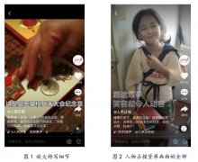 <b>但严肃正式、信息量较大的新闻类视频介入较少</b>