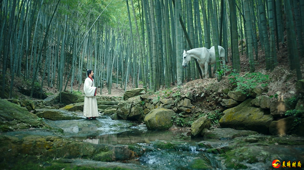 今年浙派纪录片又一部力作——《江南》即将与大家见面