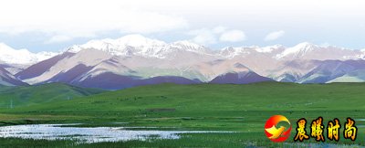  山东的李某某与某公司存在劳动关系