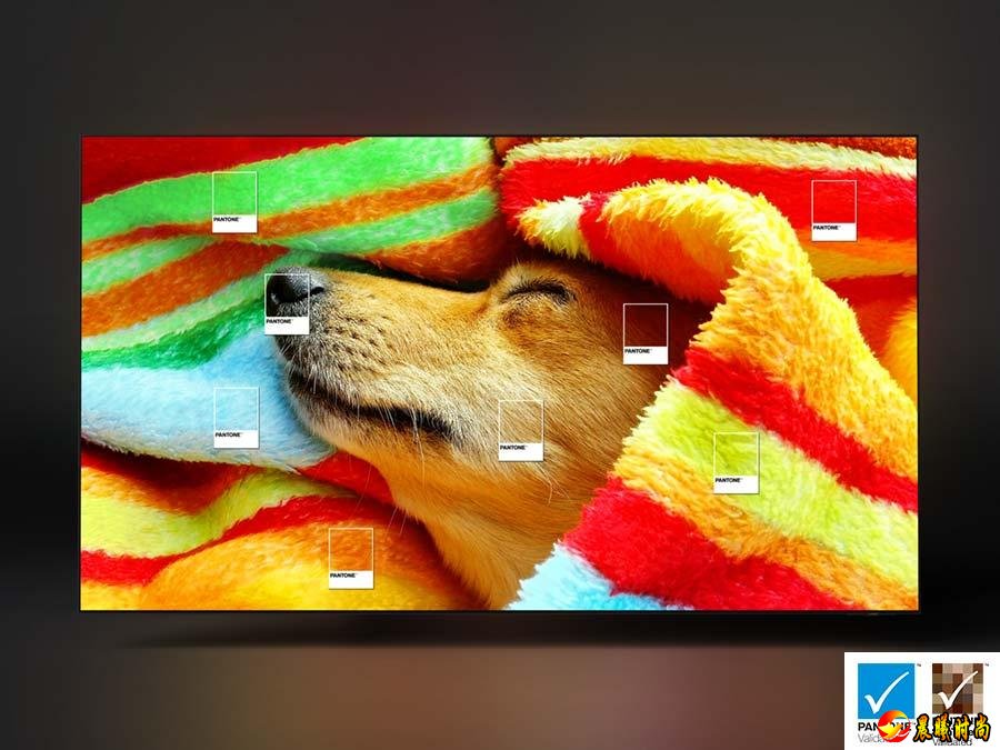 犹如站在现场一般