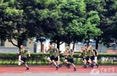 小胖们在日复一日严格的训练中学会了服从
