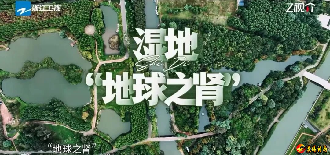 并于20:40上线Z视介
