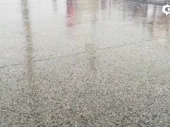 新浪体育前方记者就感受到了球迷们无穷的活力