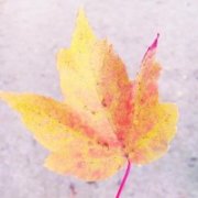 新闻纠错:80085816@qq.com ---------------------------------------