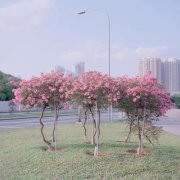  14、隔着屏幕认识