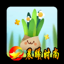 手表必备