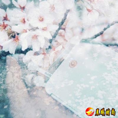  28、云南很适合带老人去玩