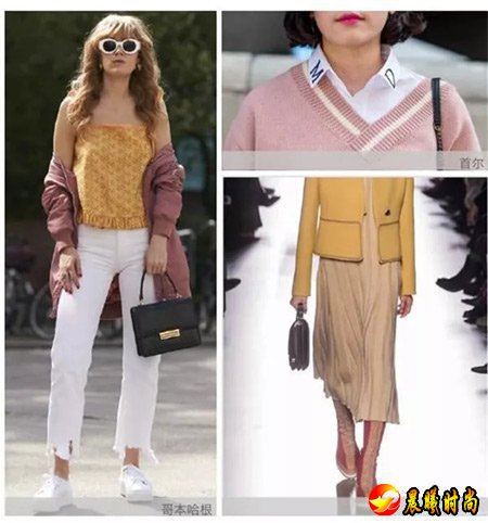 2018/19秋冬女装流行色彩更新（上篇）(图10)