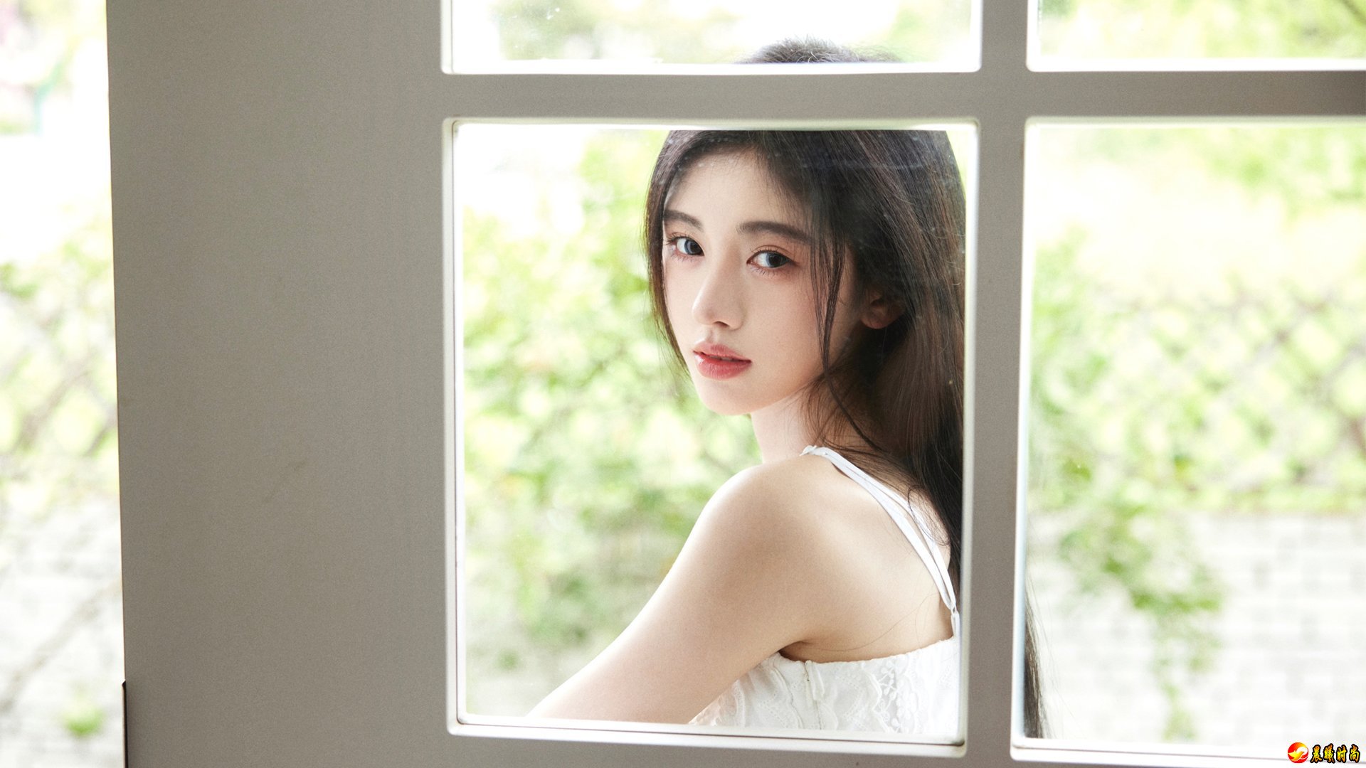 小清新美女 窗 鞠婧祎 高清美女壁纸