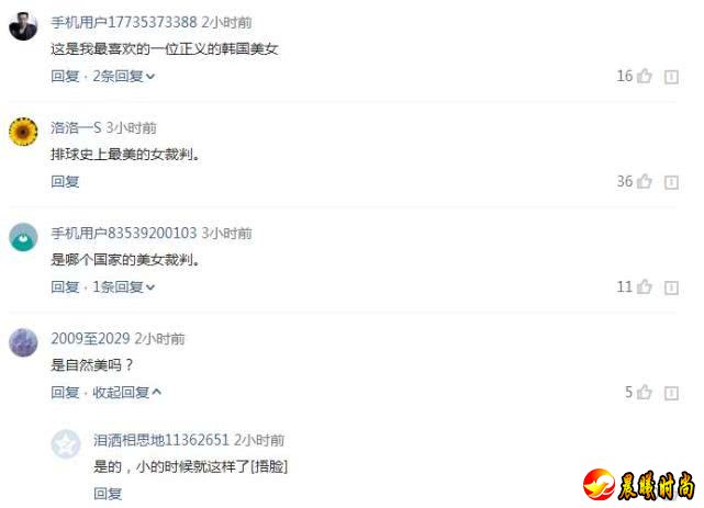中泰女排之战主裁判走红，网友：排球史上最美