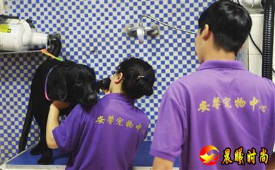 史淞予摄
