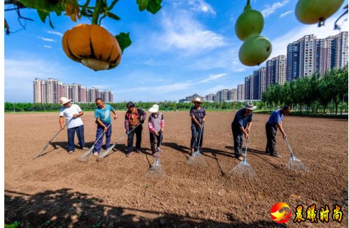 空气太好了!”“能够生活在这里好幸福!” 为了在钢筋水泥的都市重塑融洽和谐的邻里社区