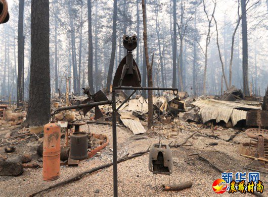（国际）（1）美国加州北部山火遇难人数升至48人