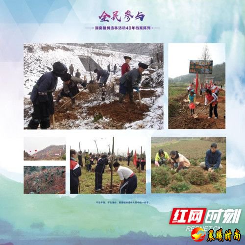  在《森林法》立法通过后