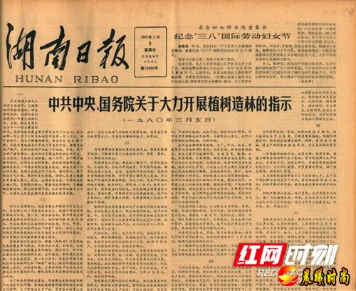  在《森林法》立法通过后