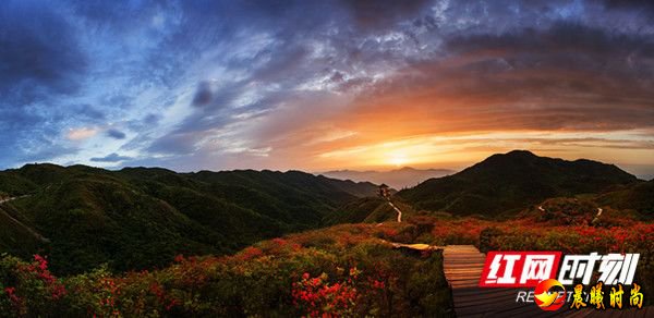  在《森林法》立法通过后