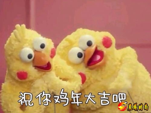 鸡年大吉