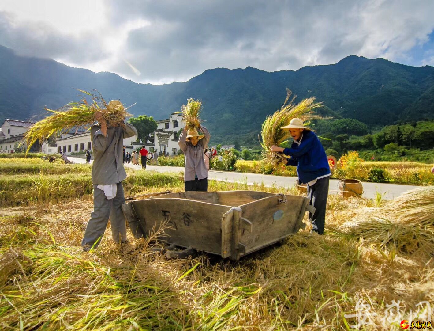 本次丰收节还举办了割稻子、谷桶打稻、锁稻草、挑稻草、打糍粑、打黄豆、风扇吹稻壳、堆草垛、抱稻把比赛、举板车轮比赛等一系列极富体验性的活动