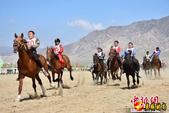 图为驰骋在赛马场的骏马。富蕴县供图