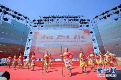 武汉市庆祝2019中国农民丰收节系列活动启动