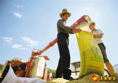 【大美中国】金秋时节庆丰收