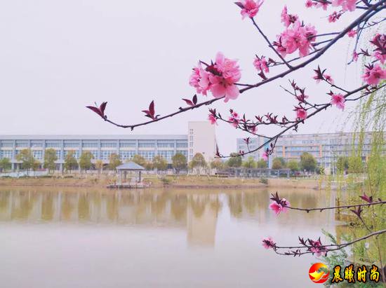 雨里裹蜜 花瓣洗尽绚丽的色彩 显露春天最轻柔的白 江西水利职业学院 江西洪州职业学院 三月酥风暖阳 百花齐放 这一簇簇正是风姿绰约 你觉得哪所学校的“校花”最美呢？ 