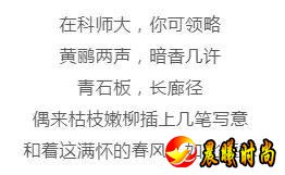 雨里裹蜜 花瓣洗尽绚丽的色彩 显露春天最轻柔的白 江西水利职业学院 江西洪州职业学院 三月酥风暖阳 百花齐放 这一簇簇正是风姿绰约 你觉得哪所学校的“校花”最美呢？ 