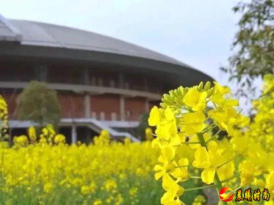 雨里裹蜜 花瓣洗尽绚丽的色彩 显露春天最轻柔的白 江西水利职业学院 江西洪州职业学院 三月酥风暖阳 百花齐放 这一簇簇正是风姿绰约 你觉得哪所学校的“校花”最美呢？ 