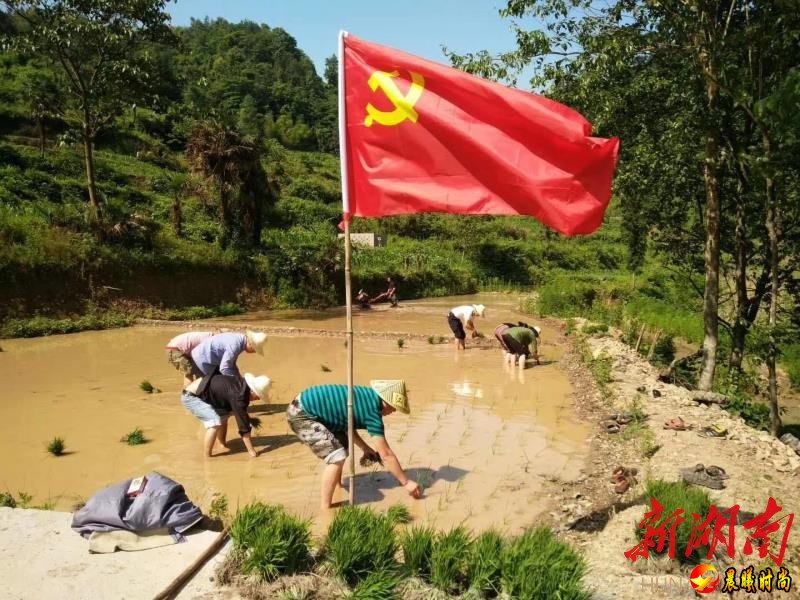 永顺县“互助五兴”全面落地生根开花结果