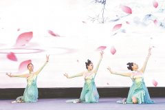 淮剧《莲花庵》选段、折子戏《王瞎子算命》、淮剧《秦香莲》选段等节目精彩