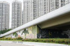由香港市花“洋紫荆”及常见的“木棉花”和“凤凰木”组成的一幅幅壁画