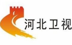 同时面对各路风潮、模式