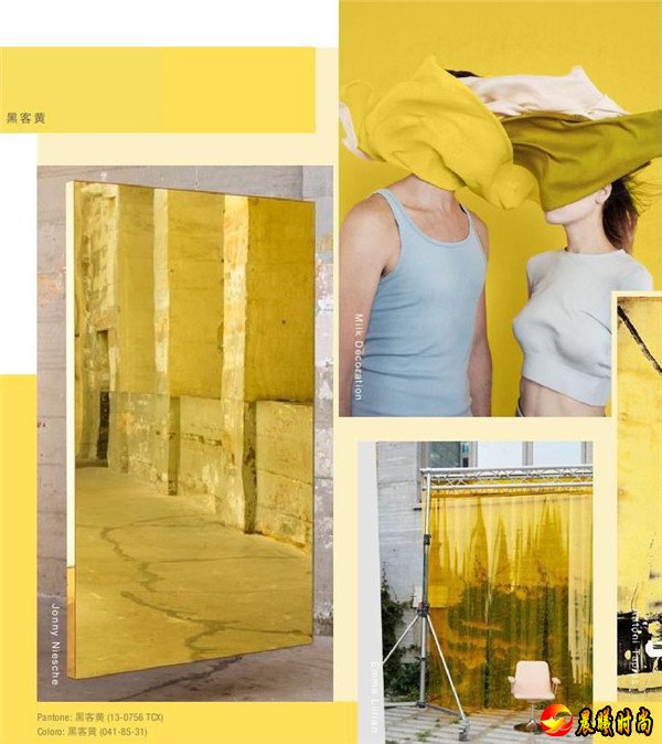 它有一个梦想：重塑世界！2020春夏美国色彩解码趋势(图8)